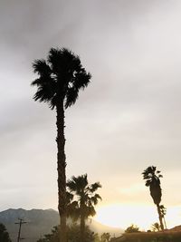 Silhouette tree against sky during sunset