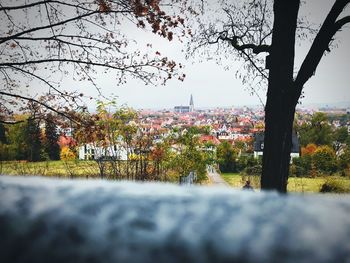 Trees and plants in city against sky during autumn