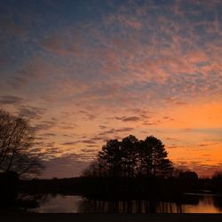 Silhouette trees by lake against sky during sunset