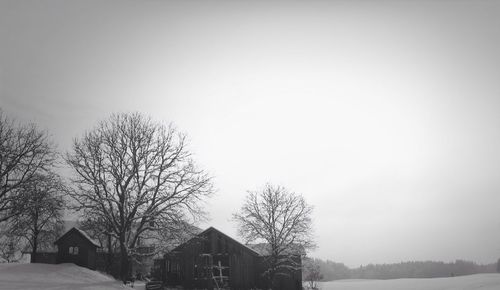 Bare trees and houses against clear sky during winter