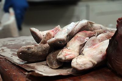 Close-up of fish for sale in market