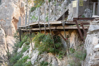 Low angle view of house and trees on rock
