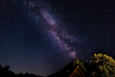 Low angle view of silhouette trees against star field at night