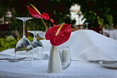 Close up of red flowers