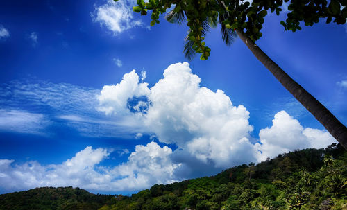 Scenic view of landscape against cloudy sky