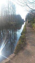 Reflection of trees in river