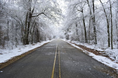 Empty road along snow covered trees