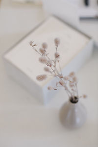 High angle view of flowers in vase on table