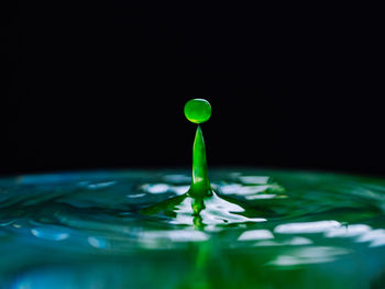 Close-up of drop falling on water against black background