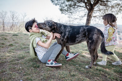 Portrait of dog sitting on field