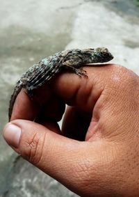 Close-up of person holding hand