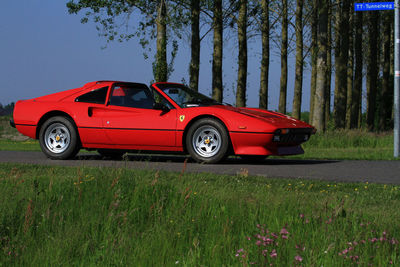 Red car on grass