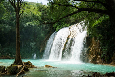 Scenic view of waterfall in forest