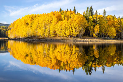 Scenic view of lake by trees against sky during autumn