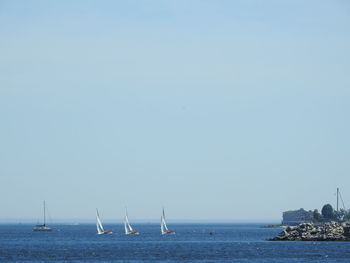 Sailboats in sea against clear sky