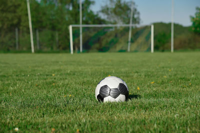 Soccer ball on soccer field with much copy space