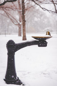 Snow covered drinking fountain in park