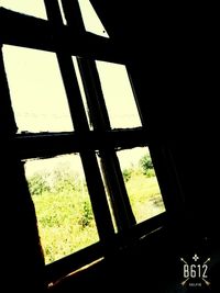 window