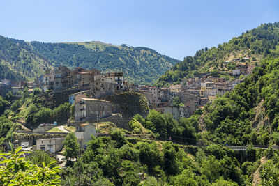 Scenic view of trees and buildings against sky