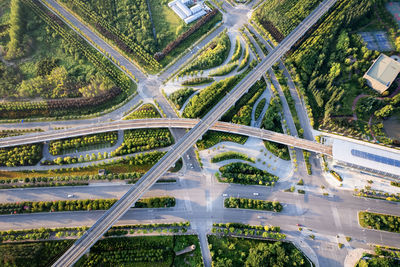 High angle view of road amidst trees in city