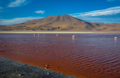 The landscapes from uyuni salt desert, bolivia