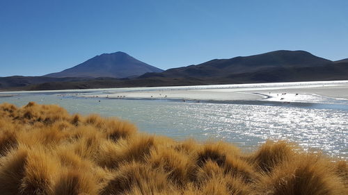 Scenic view of lake against clear blue sky and vulcano