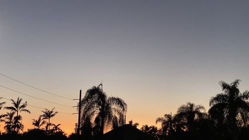 Low angle view of silhouette trees against sky during sunset