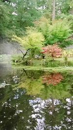 Pond in park