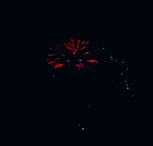 Low angle view of firework display at night