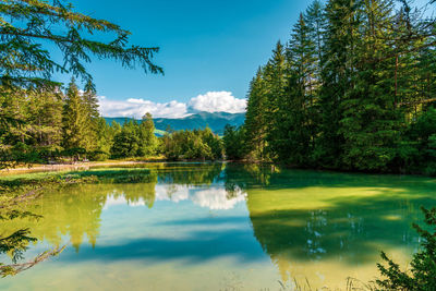 Panoramic view of lake dobbiaco  in the dolomites, italy.