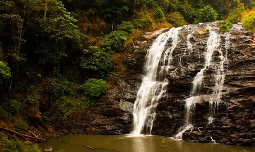 Scenic view of waterfall in forest