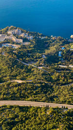 High angle view of trees and plants in city