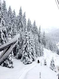 Snow covered land and trees against clear sky