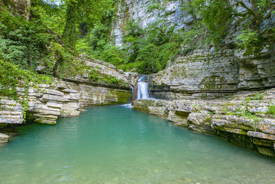 Scenic view of waterfall in forest