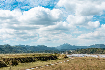 Scenic view of field against sky