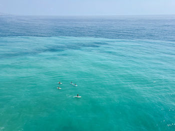 People stand up paddle boarding in the sea