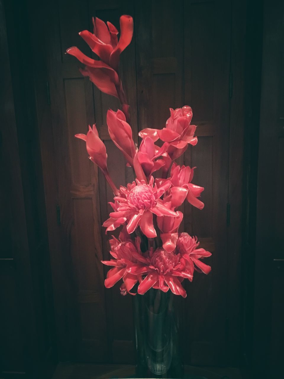 CLOSE-UP OF PINK FLOWER VASE