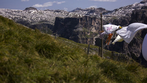 Man standing by plants against mountain range