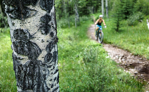 Rear view of a man with bicycle