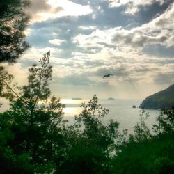 Scenic view of sea against cloudy sky