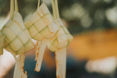 Ketupat or rice dumpling is traditional food in malaysia during eid celebration. 