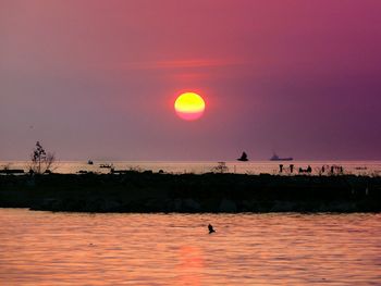 Scenic view of sea at sunset