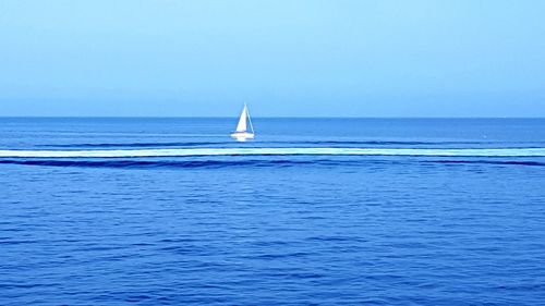 Sailboat sailing in sea against clear sky