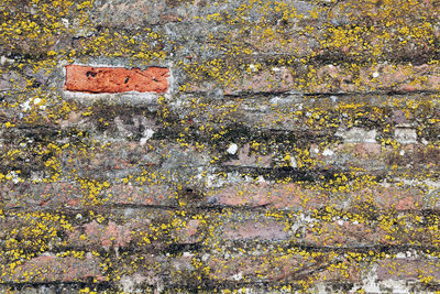 Close-up of brick wall