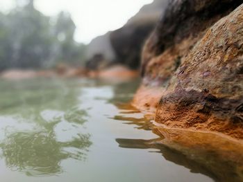 Close-up of rock in water against sky