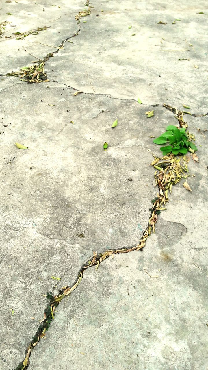 VIEW OF CRACKED CONCRETE