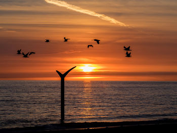 Silhouette birds flying over sea against sky during sunset