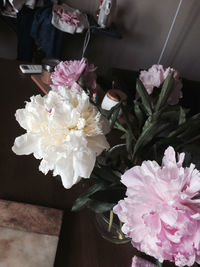 Close-up of pink roses on table