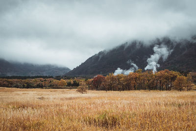 Scenic view of field against sky