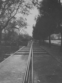 Railroad tracks amidst trees against sky